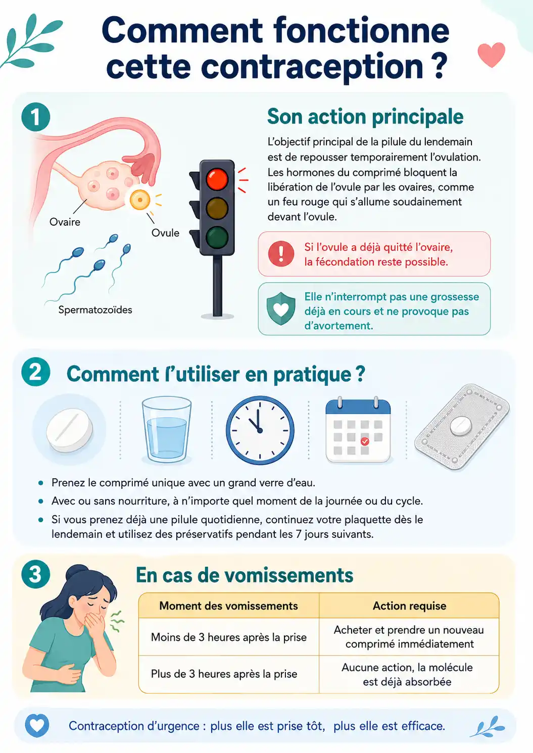 comment-fonctionne-cette-contraception.webp